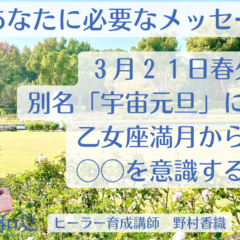 メッセージ動画配信♪