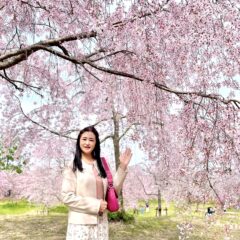 桜の美しい季節ですね♡