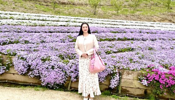 姫路のオススメお花スポット！芝桜の小道。