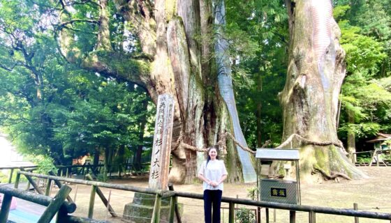 満月ヒーリングは高知県からお届けしました！
